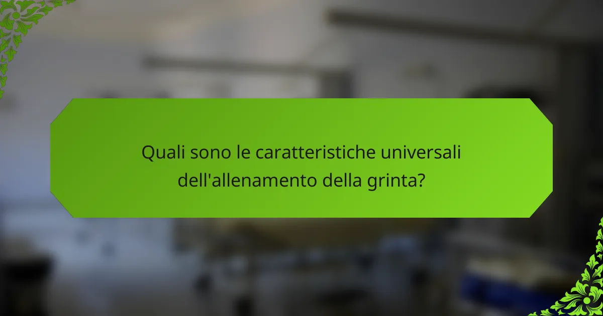 Quali sono le caratteristiche universali dell'allenamento della grinta?